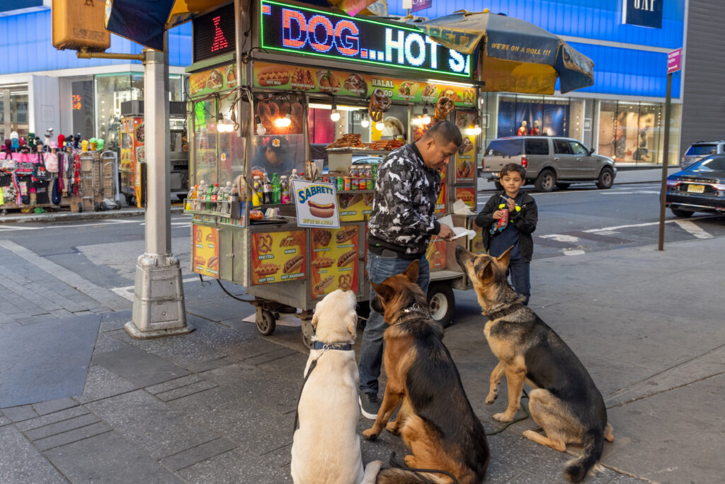 22 New York City food pantries to start offering pet food