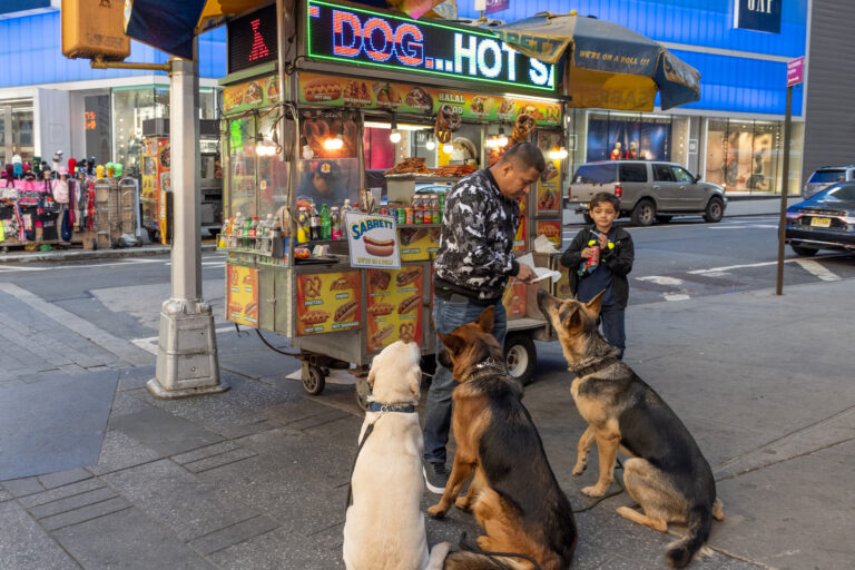22 New York City food pantries to start offering pet food