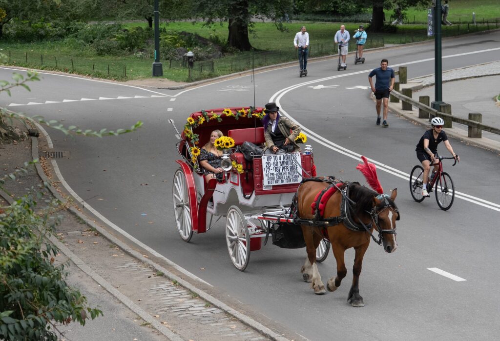 City Council to vote on proposal to end NYC horse carriages in 2028
