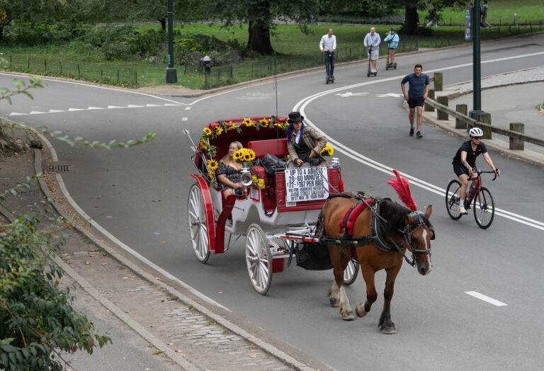 City Council to vote on proposal to end NYC horse carriages in 2028